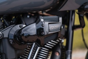 48 Harley Davidson Low Rider ST 117 filtr